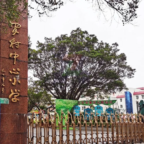佛山市南海区罗村中心小学科学探究实验室、“视像中国”直播室